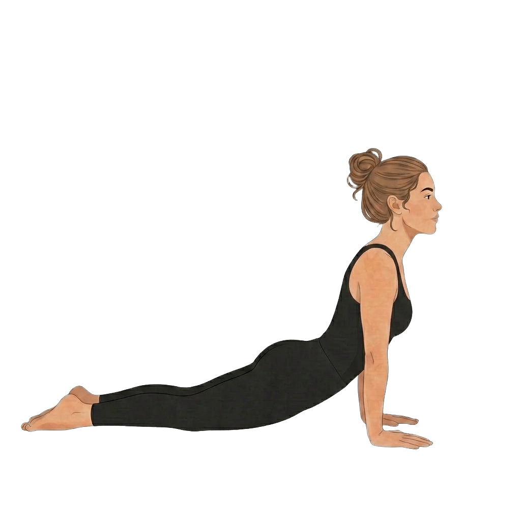 Illustration of swan prep back extension
